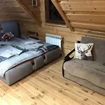Dom Pod Złotą łyżwą Krynica-Zdrój