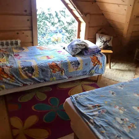 Dom Pod Zlota Lyzwa
