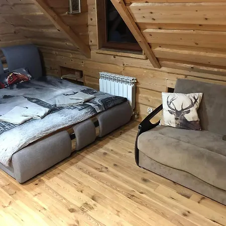 Dom Pod Zlota Lyzwa Krynica Zdroj